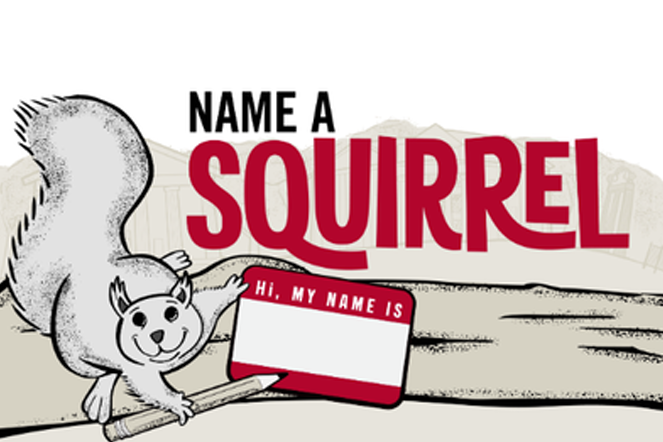 An image of a squirrel holding a name tag with "name a squirrel" on it